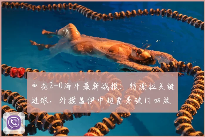 申花2-0海牛最新战报:特谢拉关键进球,外援盖伊中超首秀破门回放